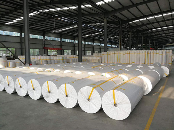 隰县狭缝式涤纶纺粘无纺布